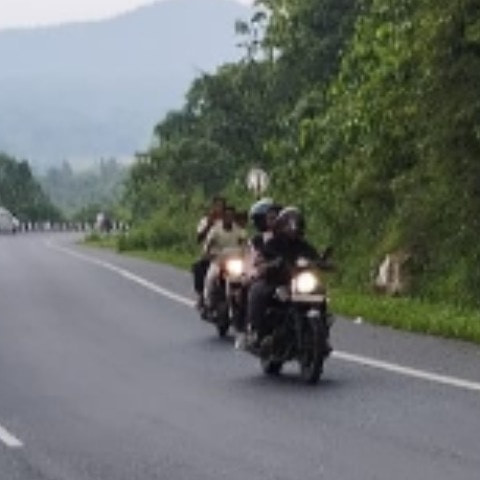 Old-fashionedGarden1