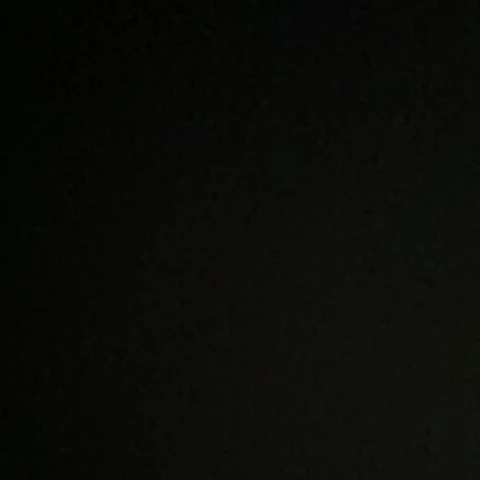 Danny1419