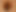 Foreskin33