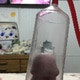 MatureCreator