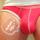 prg_bulge_etc
