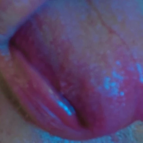 gaysclav45