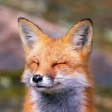 Kitkatfoxx