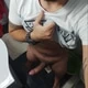 Superkaulomenos