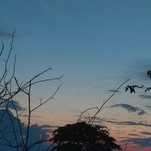 BlankPortion13