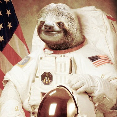 Spacesloth