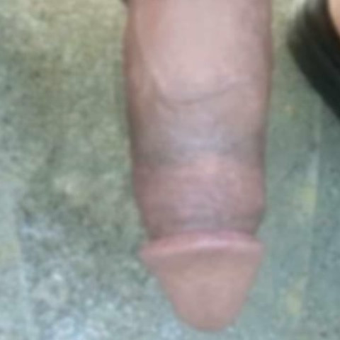 Rioon199