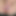 privat_hamster