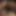 FussyFlag61