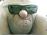 honigbear