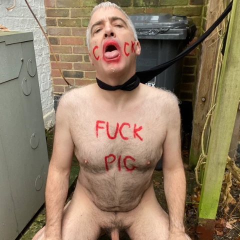 FuckPig