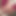 anis_83782