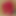 xxstrawberryjanexx