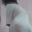 nilakshiperera0