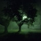 Oneeyedwilley1
