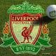 liverfc