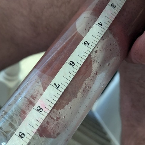 leenineplus