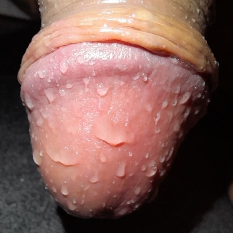 sex_love_and_toys