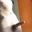 Germanteen007