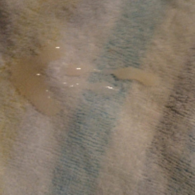 Drippydick87