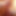 Precum88