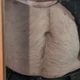 SGTommy