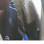 dragomirmal4ev