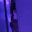 Squiert_67