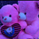 Candy1556