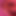 Turkeygravy5