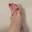 FeeturingShannon