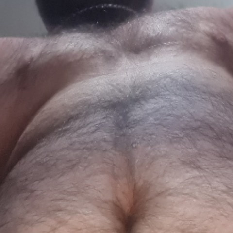 tmbear