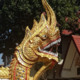 xuzodi