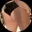 SoftSinXO