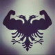 Albanian-fucker