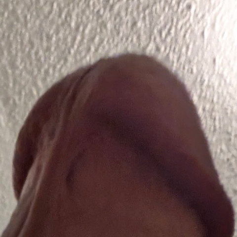 TroyfromRaleigh