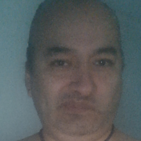 mogu77
