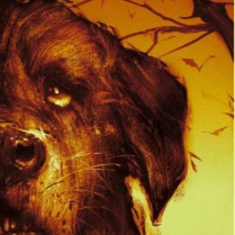 Cujo13