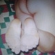 Wackocuming