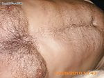 hairy777