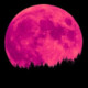 Pinkmoon44