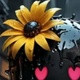 BloomingAssociate75