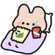 K_Nam