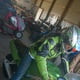 Dingo1420