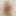 Kikkomansex86