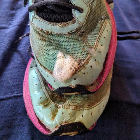 TrashedSneakers