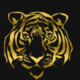 TigerGold111