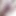 sexyfemmelezclitlover