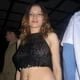 ingeg