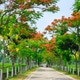 GiftedBaseline37